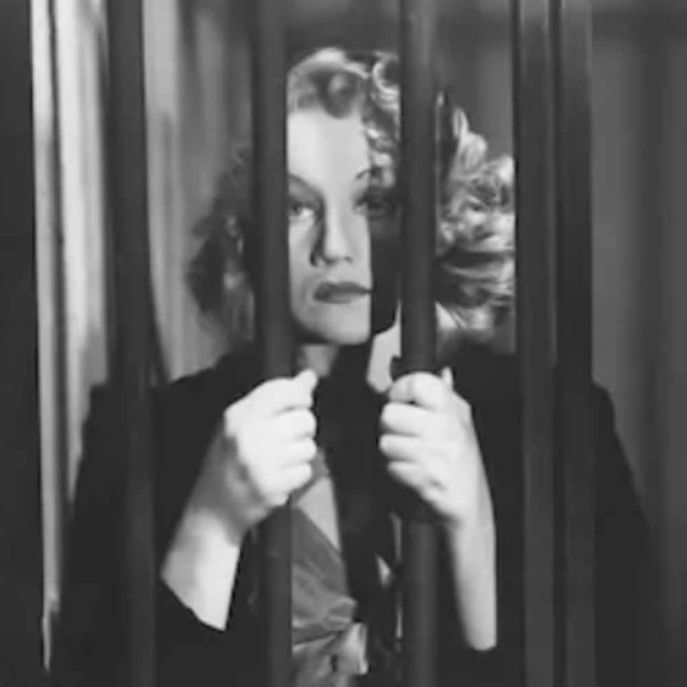 POSH AMBASSADORS DON'T GET DIPLOMATIC IMMUNITY LOL